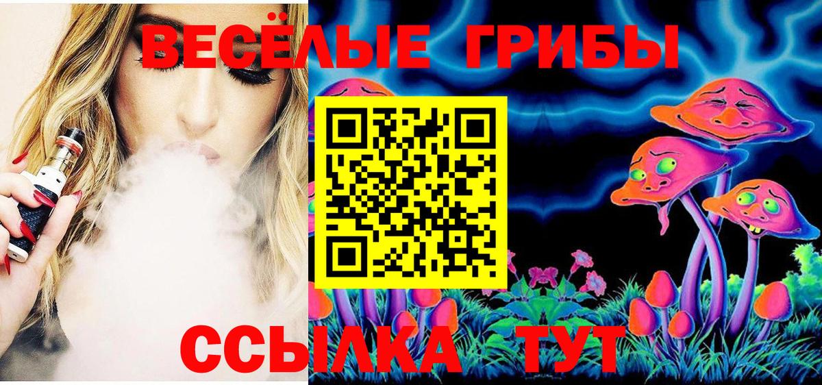 Кузнецк  Псилоцибиновые грибы MAGIC MUSHROOMS  Вход с VPN  Псилоцибиновые грибы MAGIC MUSHROOMS 
