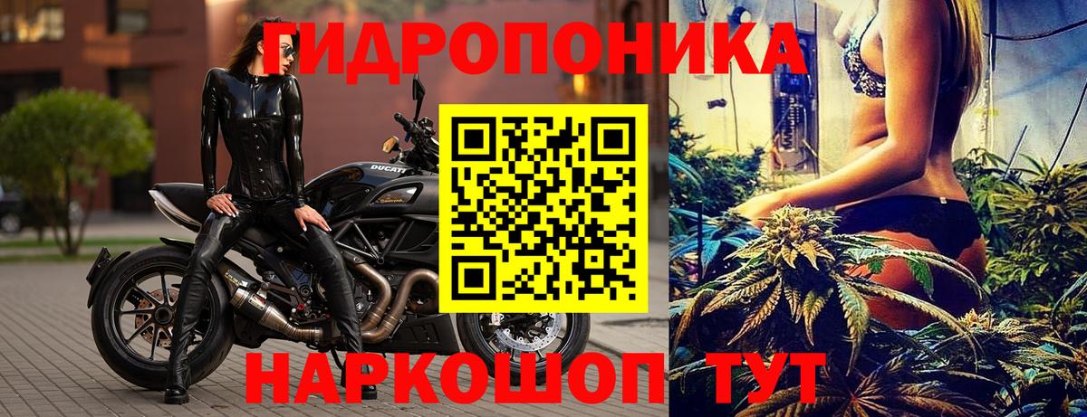Кузнецк  Бошки марихуана конопля  МАРИХУАНА индика  МАРИХУАНА тримм  Вход с VPN 
